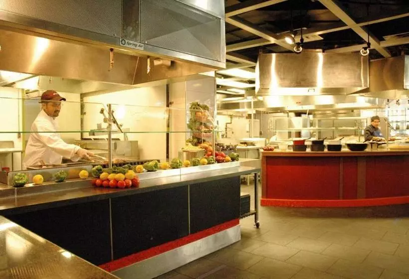 University Of Toronto   New College Residence   Wilson Hall Residence