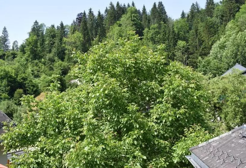 Frühstückspension Josefinum