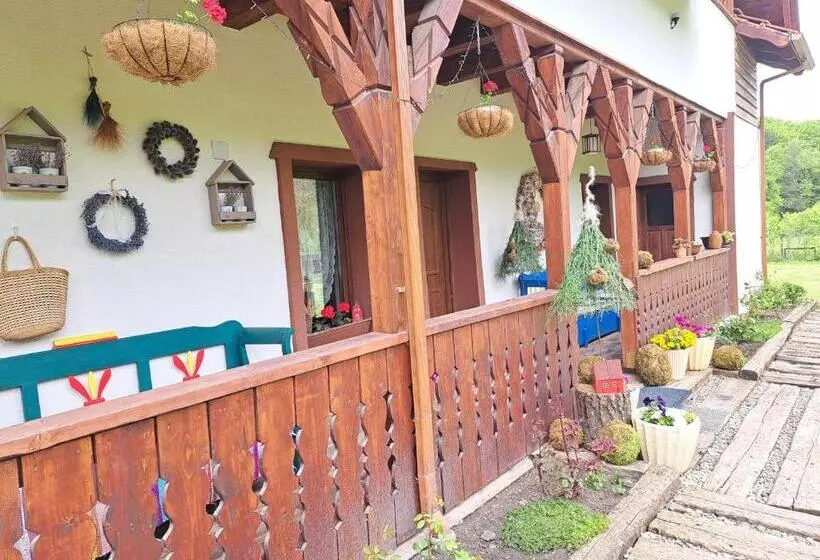 Bed and Breakfast Casa Cu Prispa