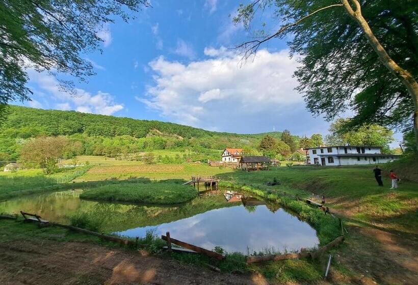 住宿加早餐 Casa Cu Prispa