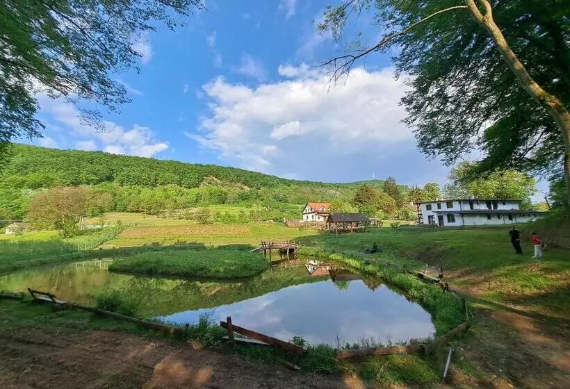 Bed and Breakfast Casa Cu Prispa