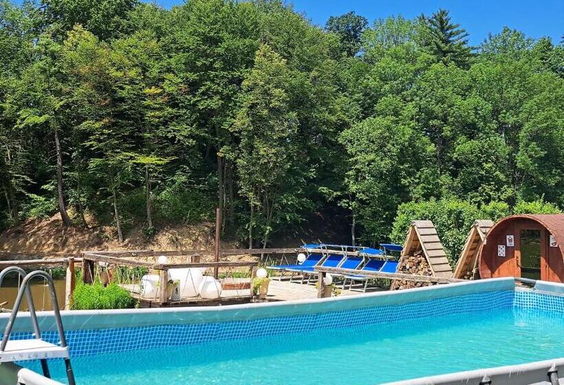 住宿加早餐 Casa Cu Prispa