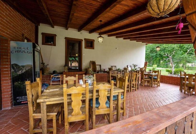 住宿加早餐 Casa Cu Prispa