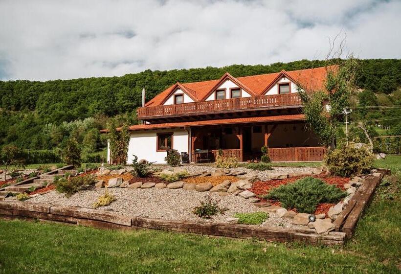 住宿加早餐 Casa Cu Prispa