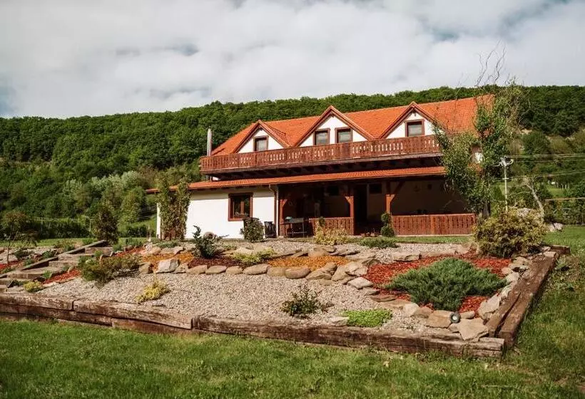Bed and Breakfast Casa Cu Prispa