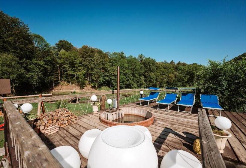 住宿加早餐 Casa Cu Prispa