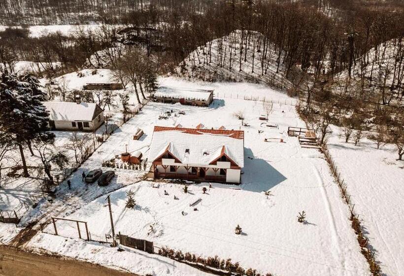 住宿加早餐 Casa Cu Prispa