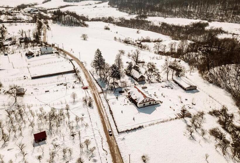 住宿加早餐 Casa Cu Prispa