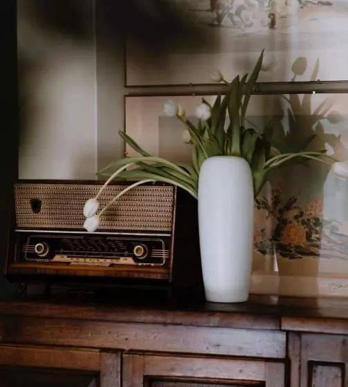 Hotelli Casa Barbabuc