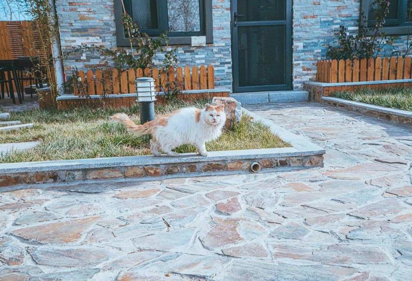 Отель Hidden In The World Crabapple 3 Courtyard