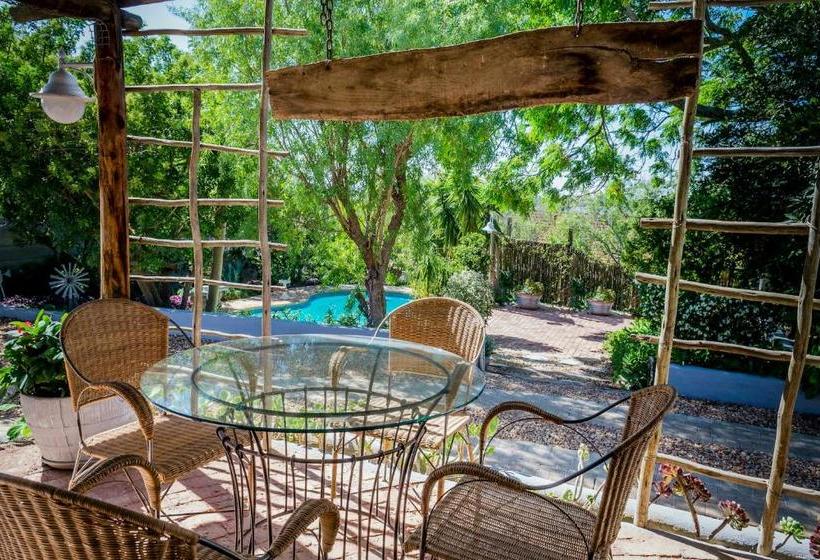 פנסיון 1 Queen Vic