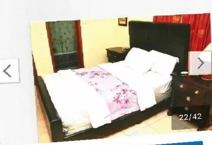 ペンション Room In Lodge   Christine Apartment Hotel Ltd