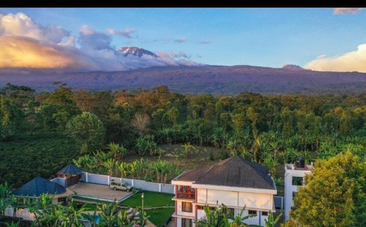 בית מלון כפרי Dual Mountain View Lodge