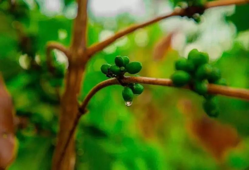 هتل Dual Mountain View Lodge