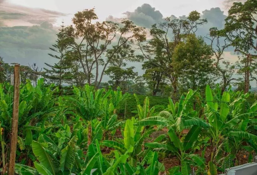 هتل Dual Mountain View Lodge