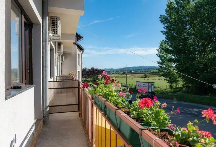 ペンション Casa șapte Din șapte