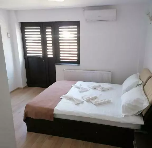 ペンション Casa șapte Din șapte