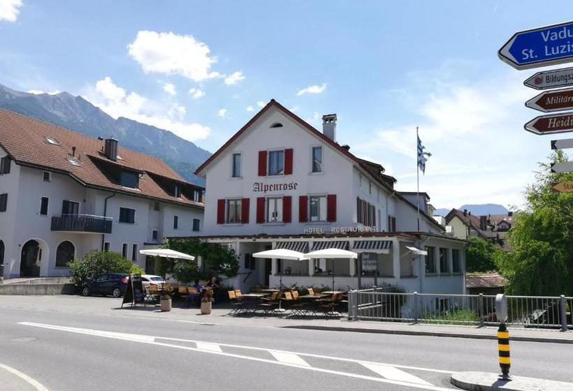 בית מלון כפרי Alpenrose