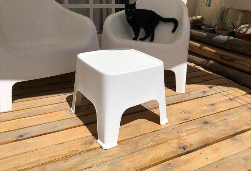 Arenas B&b Casa Compartida