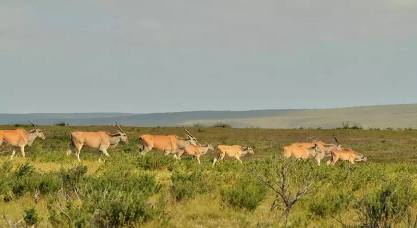 Lomakeskus De Hoop Collection   Equipped Cottages