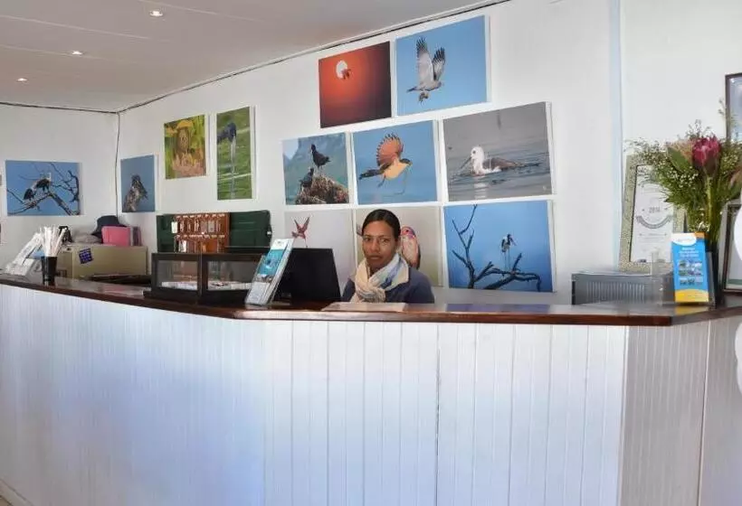 Lomakeskus De Hoop Collection   Equipped Cottages