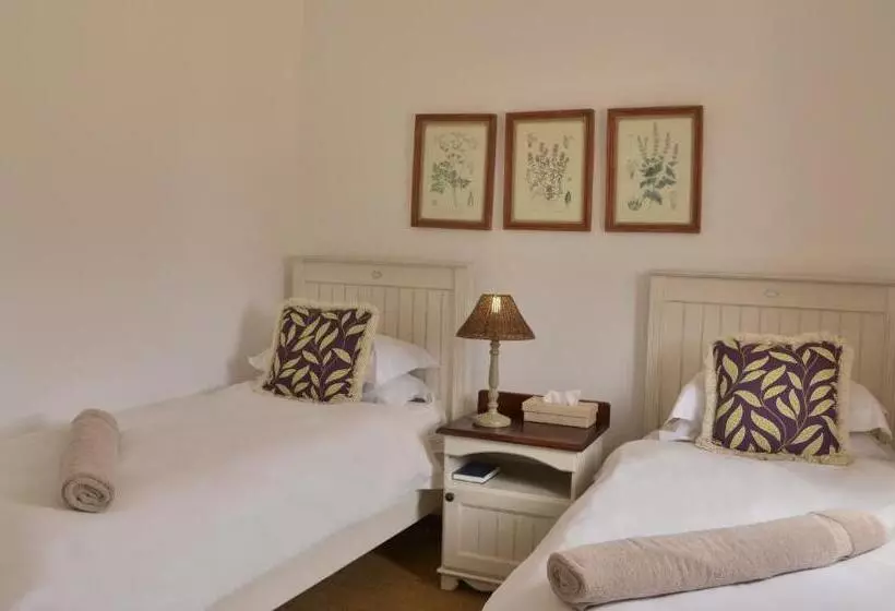 Lomakeskus De Hoop Collection   Equipped Cottages