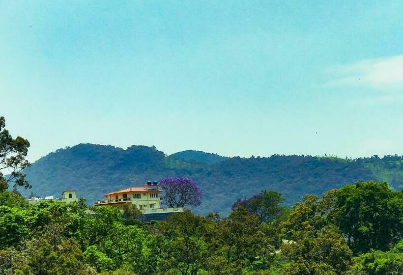 بنسيون Hidden Heaven