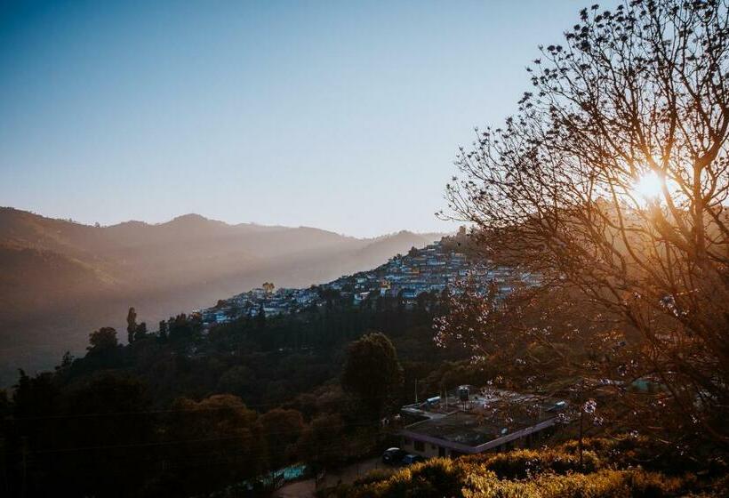 بنسيون Hidden Heaven