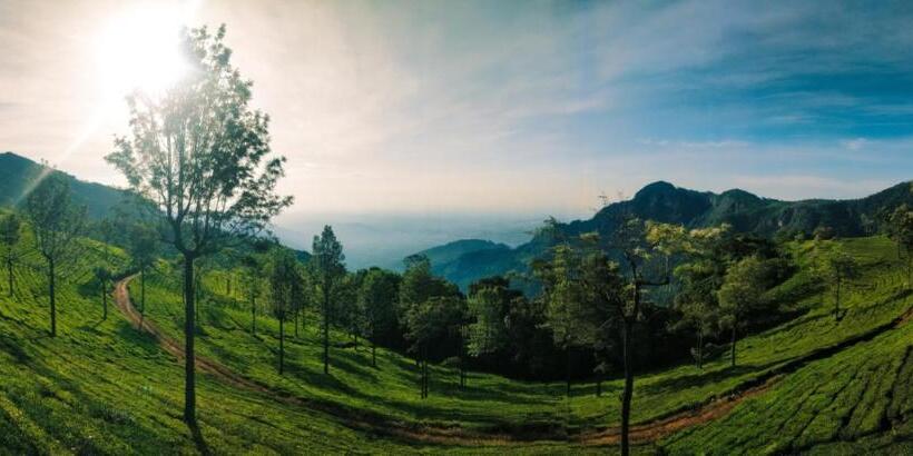 بنسيون Hidden Heaven