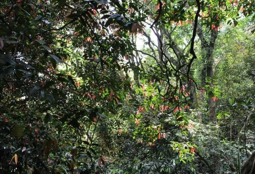 Majatalo Hidden Heaven