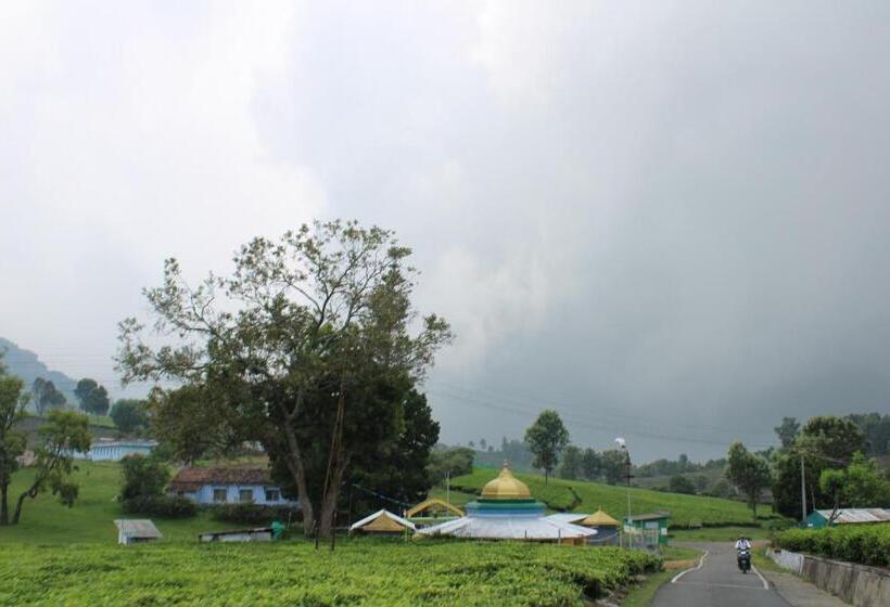 بنسيون Hidden Heaven