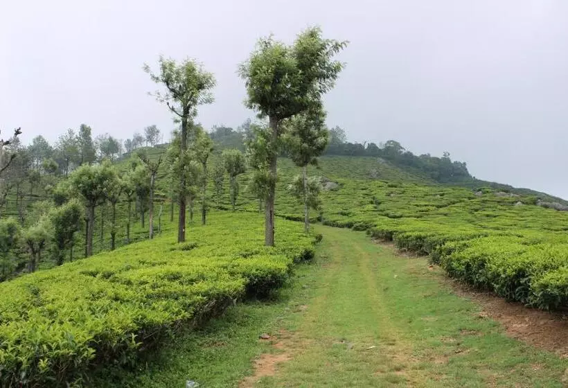 Majatalo Hidden Heaven