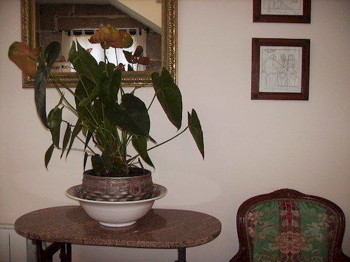 Casa Videira Hotel Rural Cerca Del Mar