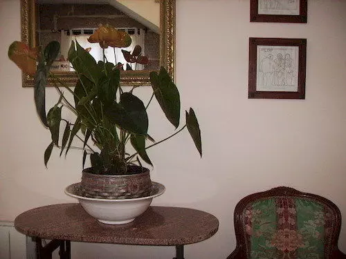 Casa Videira   Hotel Rural Cerca Del Mar