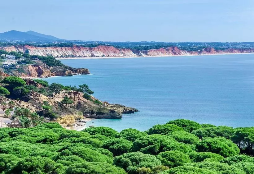 Aqua Pedra Dos Bicos Design Beach Hotel   Adults Friendly