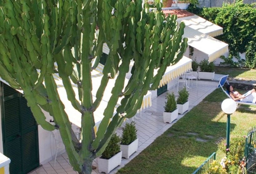 酒店 Bellevue Benessere & Relax