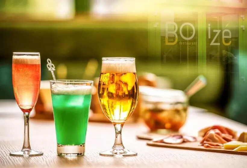 酒店 Hôtel Mercure Niort Marais Poitevin