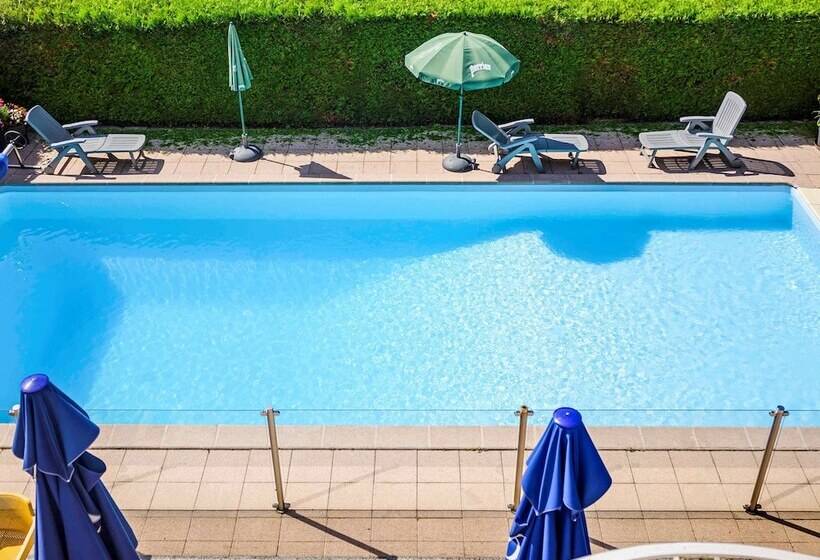 Отель Ibis Belfort Danjoutin