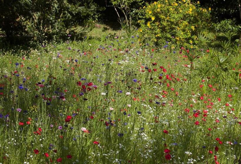 فندق Le Mas Ferrand