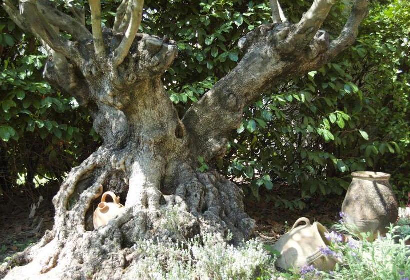 فندق Le Mas Ferrand