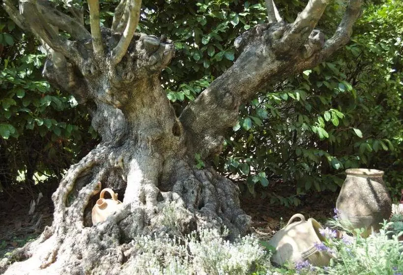 Hotel Le Mas Ferrand