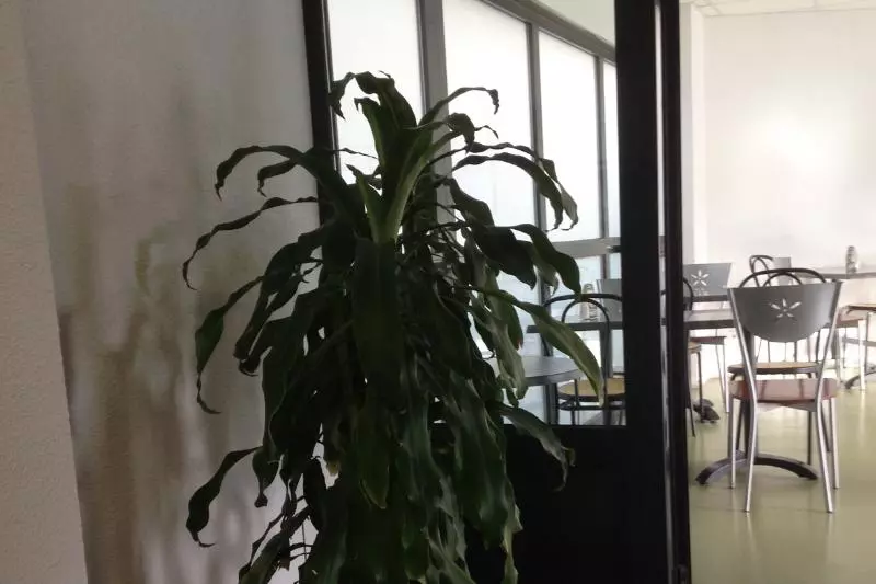 בית מלון כפרי P'tit Dej-Hôtel Clermont-Ferrand Centre