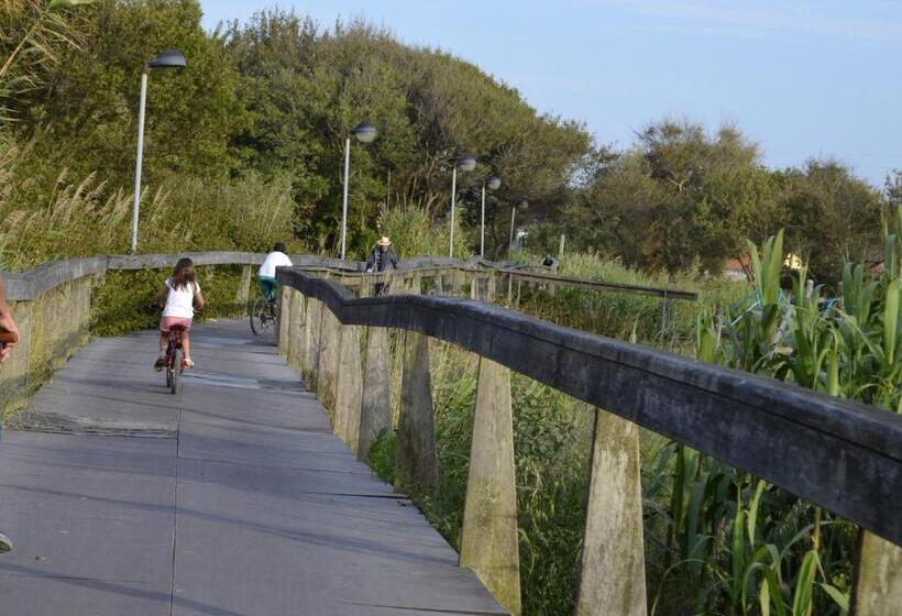 فندق Sra Da Conceicao