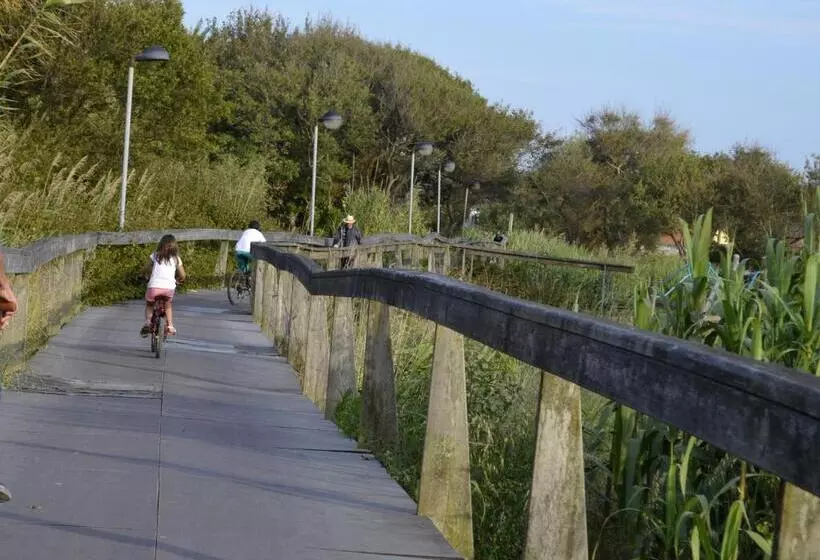 Отель Sra Da Conceicao