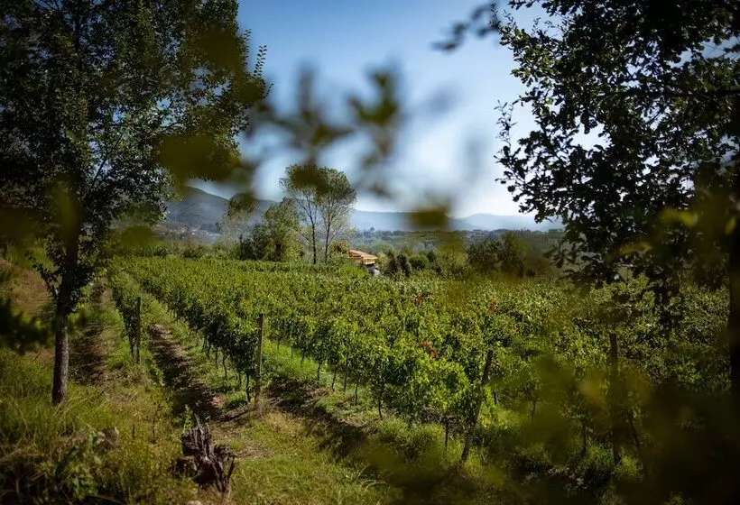 Отель Villa Rizzo Resort And Spa