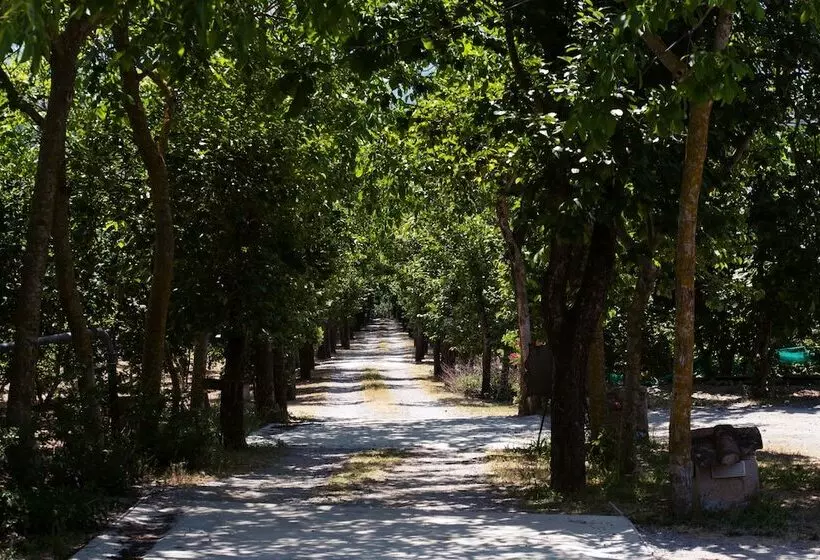 Отель Villa Rizzo Resort And Spa