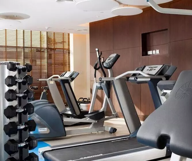 Novotel Suites Mall Avenue Dubai