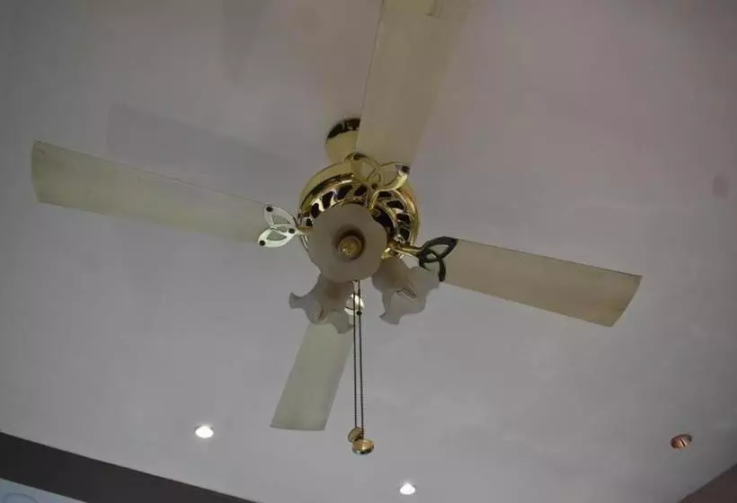 Collection O Hotel Paradise Near Chinar Park