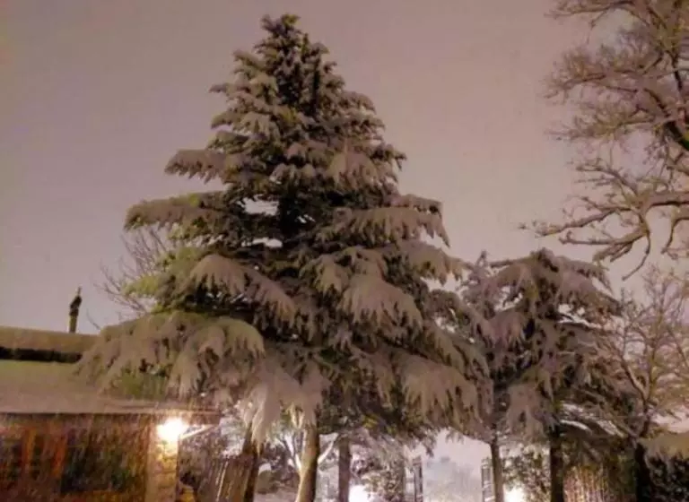 ホテル Vallibierna