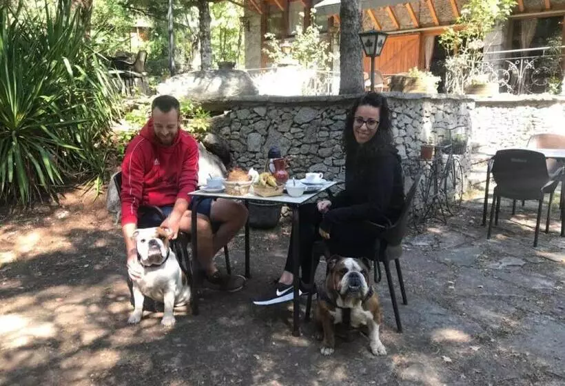 ホテル Vallibierna